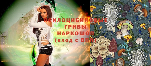 2c-b Алексин