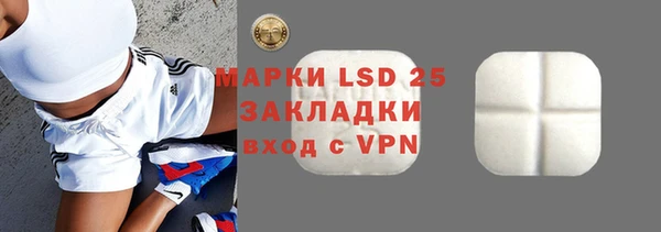 прущие грибы Алзамай
