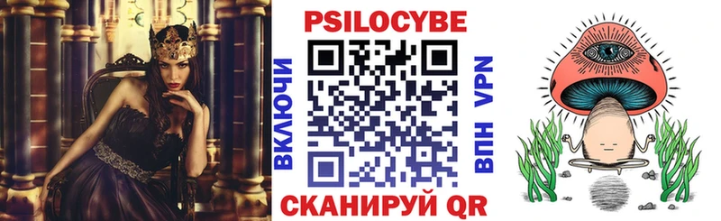 MEGA ССЫЛКА Благовещенск Галлюциногенные грибы Psilocybine cubensis