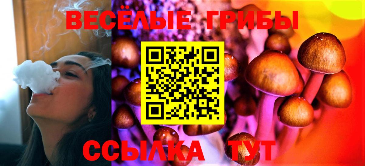Псилоцибиновые грибы Psilocybine cubensis Благовещенск